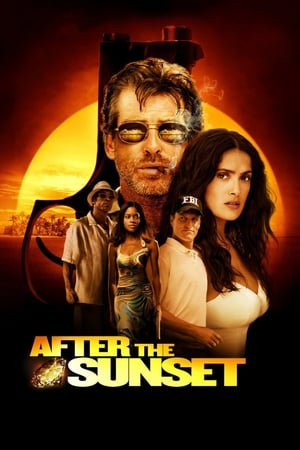 After The Sunset (2004) Hindi Dual Audio 320MB HD Poster Download - filmyfly
