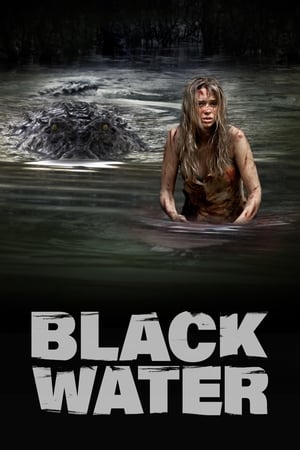 Black Water (2007) Hindi Dual Audio 300MB HD Poster Download - filmyfly