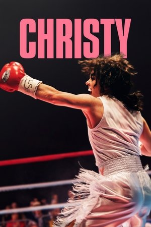 Christy (2025) Hindi (MULTI AUDIO) – – HD Poster Download - filmyfly