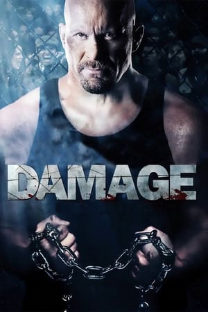 Damage 2009 Hindi Dual Audio 330MB HD Poster Download - filmyfly