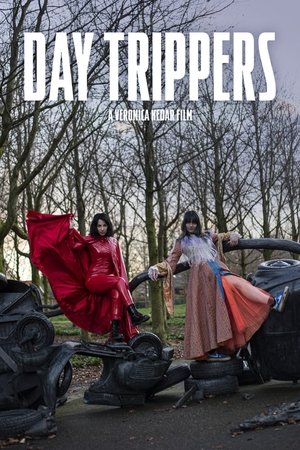 Day Trippers (2024) Hindi (MULTI AUDIO) – – HD Poster Download - filmyfly