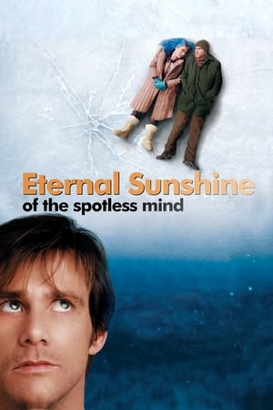 Eternal Sunshine Of The Spotless Mind 2004 Hindi Dual Audio [780MB] HD Poster Download - filmyfly