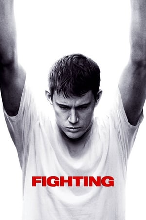Fighting (2009) Hindi Dual Audio 450MB HD Poster Download - filmyfly