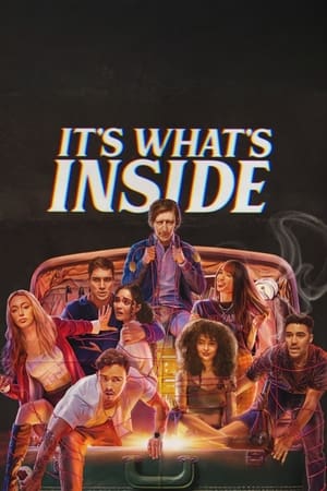 It’s What’s Inside 2024 Hindi Dual Audio HD Poster Download - filmyfly