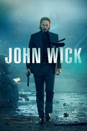 John Wick (2014) Hindi Dual Audio [900MB] ESubs HD Poster Download - filmyfly