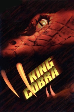 King Cobra 1999 110mb Hindi Dual Audio movie Download HD Poster Download - filmyfly
