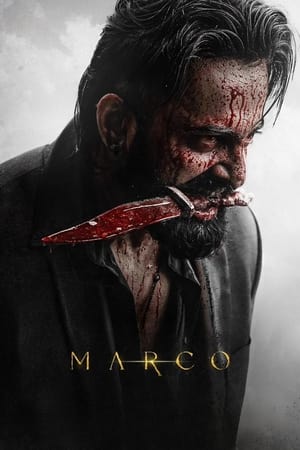 Marco 2024 Hindi HD Poster Download - filmyfly