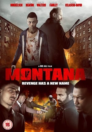 Montana (2014) Hindi Dual Audio 350MB HD Poster Download - filmyfly