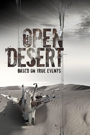 Open Desert (2013) Hindi Dual Audio – HD Poster Download - filmyfly