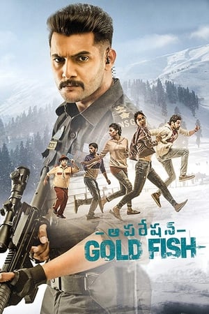 Operation Gold Fish 2019 (Hindi - Telugu) Dual Audio [1GB] HD Poster Download - filmyfly