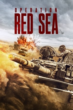 Operation Red Sea (2018) Hindi Dual Audio 450MB HD Poster Download - filmyfly