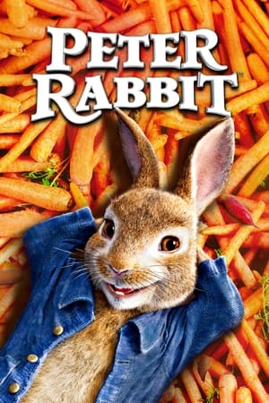 Peter Rabbit (2018) Hindi Dual Audio [1.1GB] HD Poster Download - filmyfly