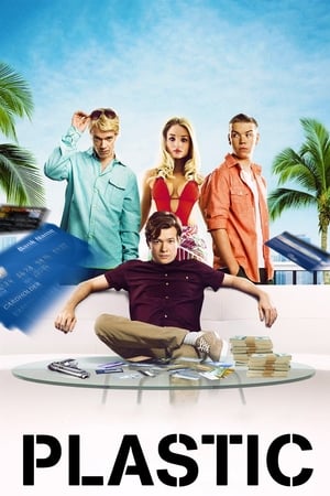 Plastic (2014) Hindi Dual Audio – HD Poster Download - filmyfly