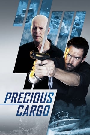 Precious Cargo (2016) Hindi Dual Audio 300MB HD Poster Download - filmyfly