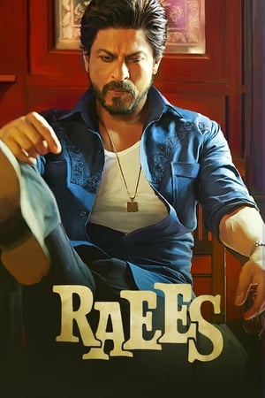 Raees 2017 400MB Full Movie