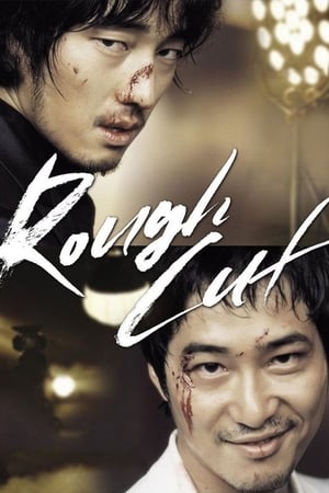 Rough Cut (2008) Hindi Dual Audio 400MB HD Poster Download - filmyfly