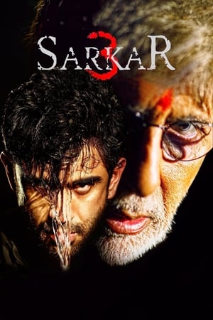 Sarkar 3 2017 350MB Full Movie Download HD Poster Download - filmyfly