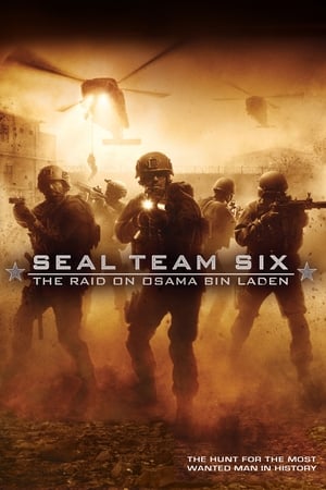 Seal Team Six: The Raid on Osama Bin Laden (2012) Hindi Dual Audio Full Movie - 1.3GB HD Poster Download - filmyfly