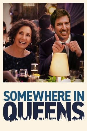 Somewhere in Queens (2022) Hindi Dual Audio – HD Poster Download - filmyfly