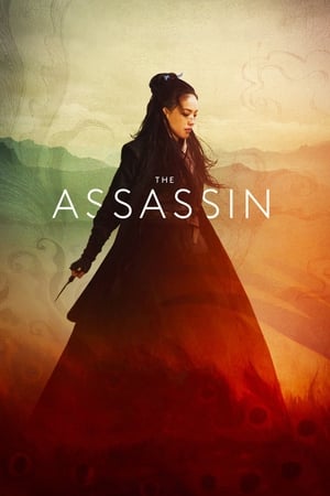 The Assassin 2015 Hindi Dual Audio 300MB HD Poster Download - filmyfly