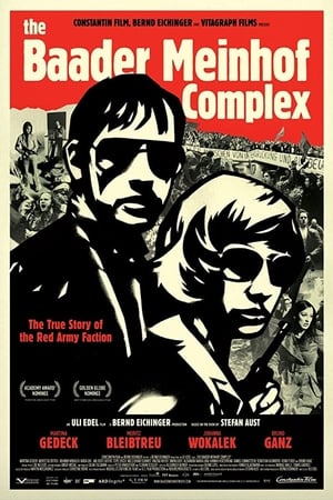 The Baader Meinhof Complex (2008) Hindi Dual Audio 500MB HD Poster Download - filmyfly