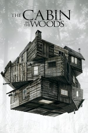 The Cabin in the Woods (2011) Hindi Dual Audio 300MB HD Poster Download - filmyfly