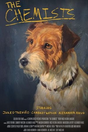 The Chemists (2025) Hindi (MULTI AUDIO) – – HD Poster Download - filmyfly