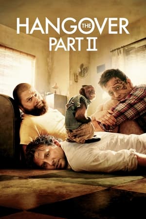 The Hangover Part II (2011) Hindi Dual Audio [750MB] HD Poster Download - filmyfly