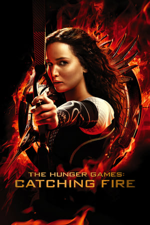 The Hunger Games Catching Fire 2013 Hindi Dual Audio 480MB HD Poster Download - filmyfly