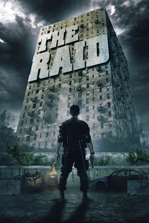 The Raid: Redemption (2011) Hindi Dual Audio 300MB ESubs HD Poster Download - filmyfly