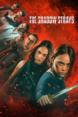 The Shadow Strays 2024 Hindi Dual Audio – 720p – HD Poster Download - filmyfly