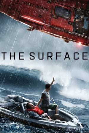 The Surface (2014) Hindi Dual Audio 300MB HD Poster Download - filmyfly