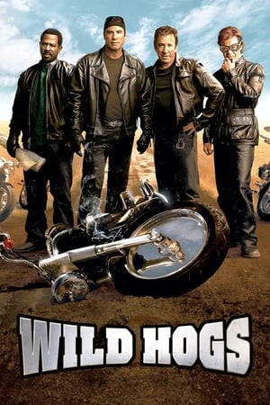 Wild Hogs (2007) Hindi Dual Audio 340MB HD Poster Download - filmyfly