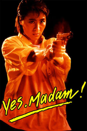 Yes Madam 1985 Hindi Dubbed [900MB] Download HD Poster Download - filmyfly